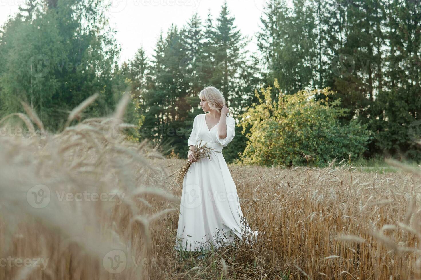 A blonde woman in a long white dress walks in a wheat field. The concept of a wedding and walking in nature photo