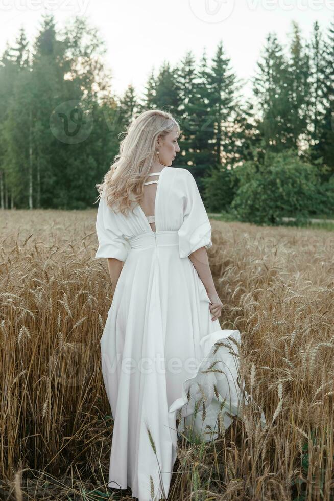 A blonde woman in a long white dress walks in a wheat field. The concept of a wedding and walking in nature photo