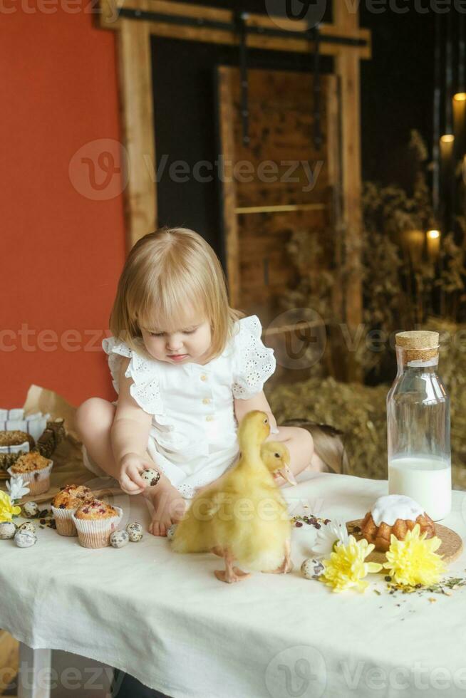 A little girl is sitting on the Easter table and playing with cute fluffy ducklings. The concept of celebrating happy Easter. photo