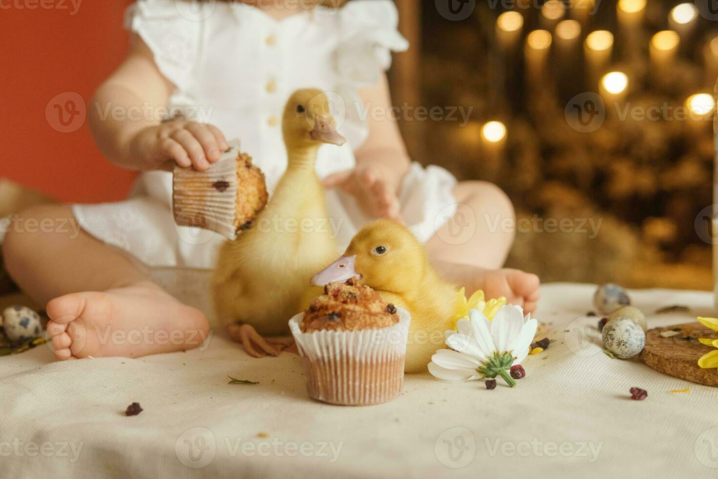 Cute fluffy ducklings on the Easter table with quail eggs and Easter cupcakes, next to a little girl. The concept of a happy Easter. photo