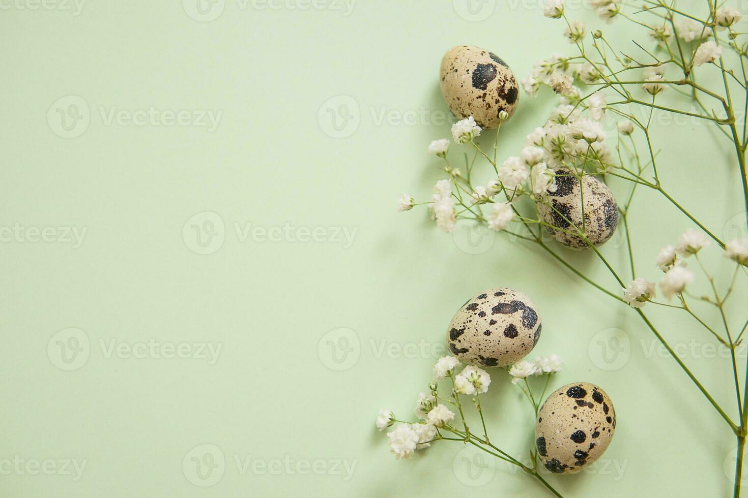 Easter background, quail eggs on a mint background, decorated with natural botanical elements, flat lay, view from above, empty space for text photo