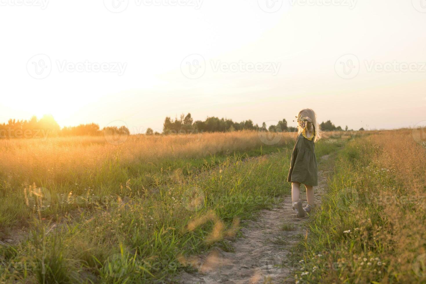 un pequeño rubia niña es sentado caminando en un manzanilla campo y coleccionar un ramo de flores de flores el concepto de caminando en naturaleza, libertad y un limpiar estilo de vida. foto