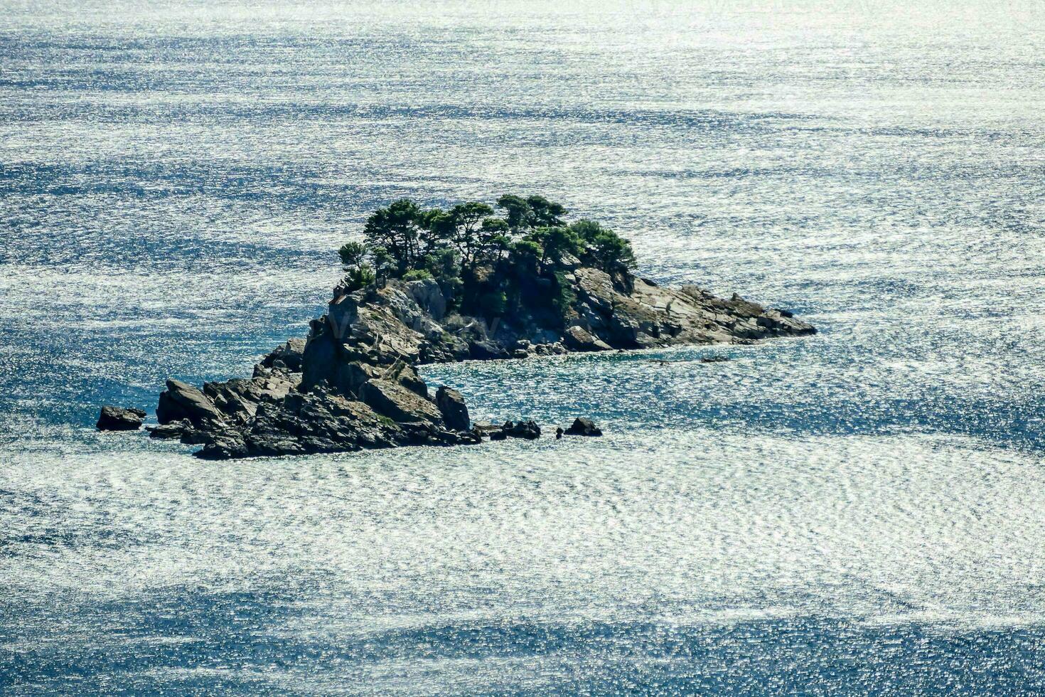 an island in the middle of the ocean with a small tree on it photo