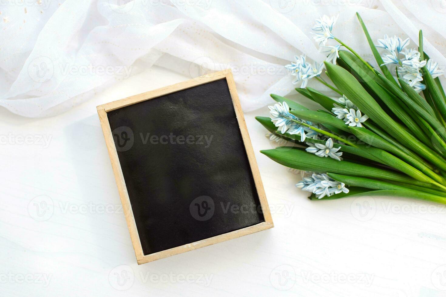 Fresh blue spring flowers Scilla siberica and wooden blackboard empty on a white table. Mockup. photo