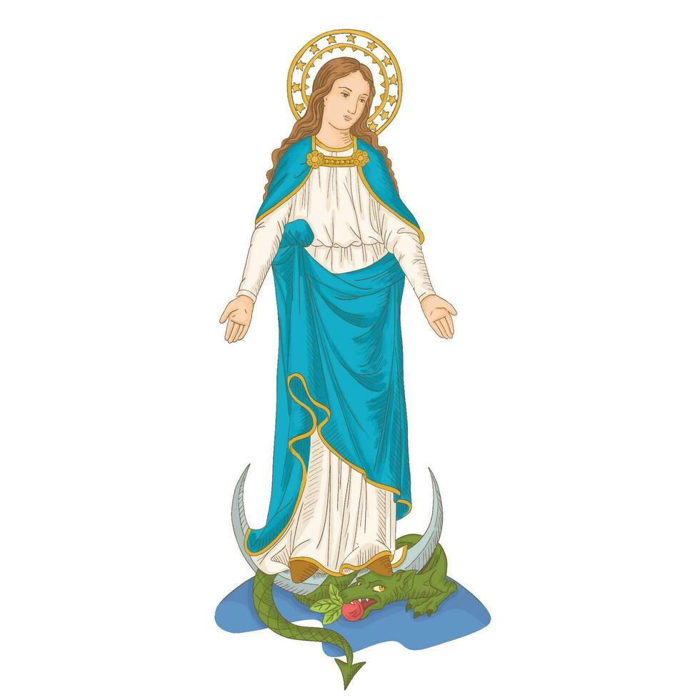 inmaculado concepción, Virgen María. suposición de María vector