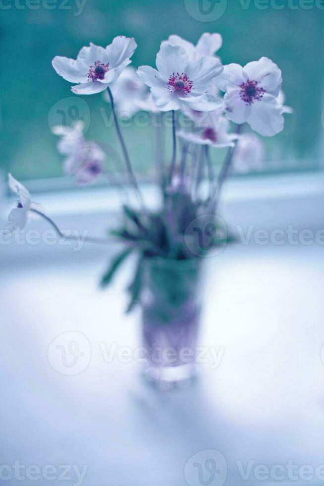 blanco madera anémona flor con amarillo centrar en florero en borroso antecedentes en el antepecho cerca ventana foto