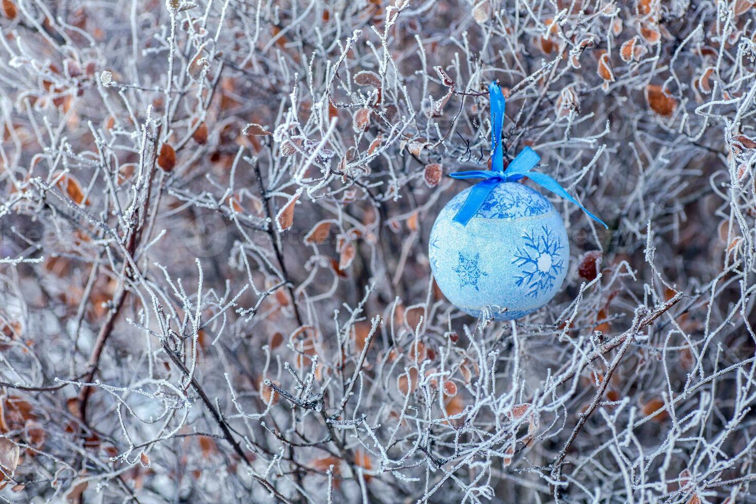 Christmas tree toy on the branches covered with hoarfrost. Sunny frosty weather. Preparing for Christmas. Lost toy. Christmas decor. New Year's background. photo