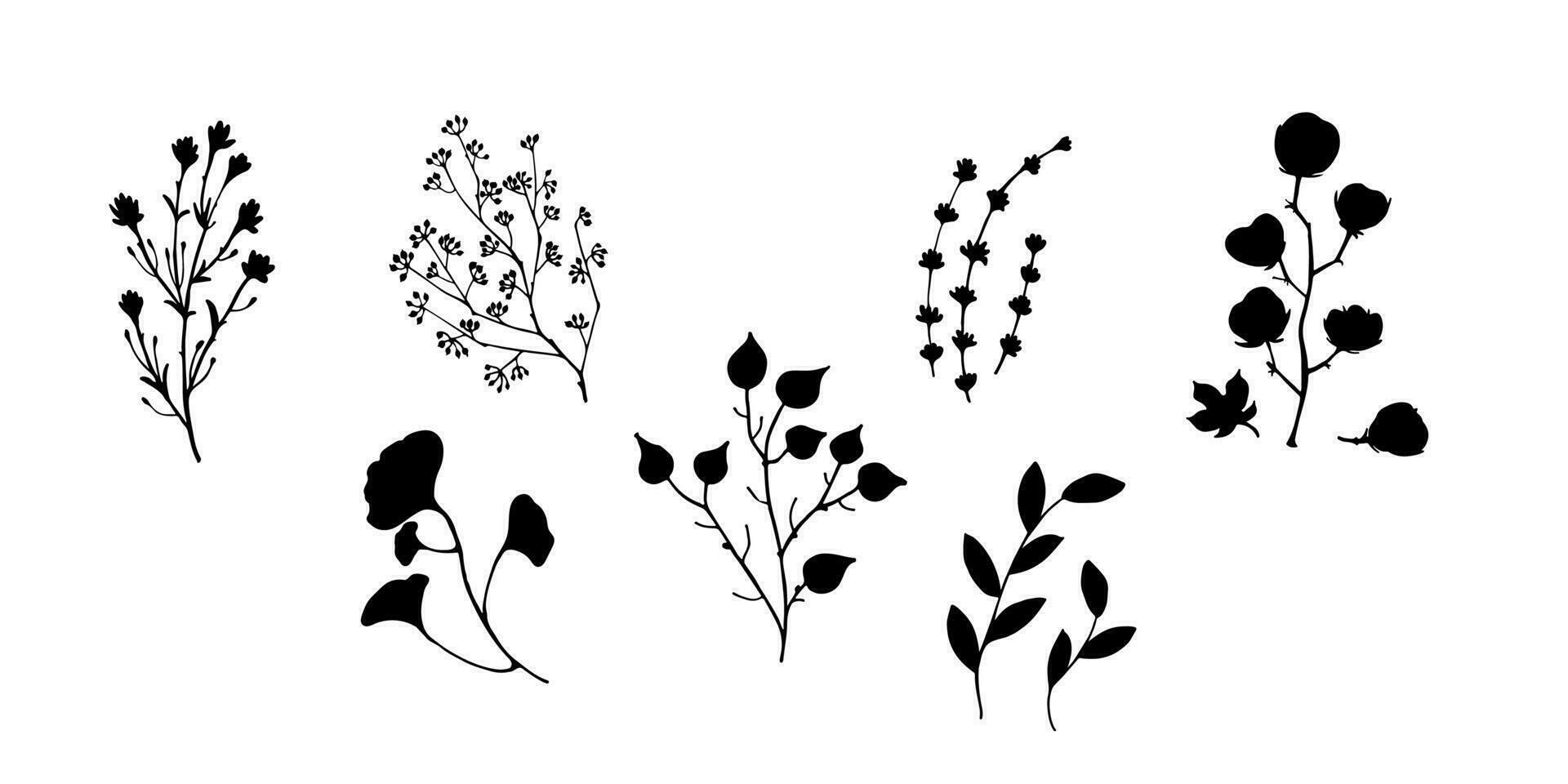 Black Vector Dry Herbs, Dried Flowers. Natural medicine illustration. Cotton, leaves and twigs. Design for websites, pattern on fabric, clothes, craft paper, paper printing. Medical themes.