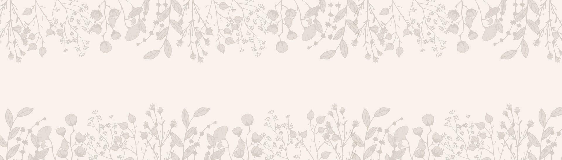 Horizontal Border Dry Herbs. Natural medicine. Vector banner with branches twigs cotton in beige. Design frame for decoration of medical articles and websites, print, postcards, covers, posters.