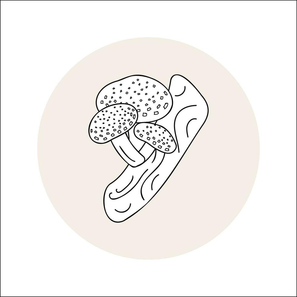 Mushroom line icon black in circle. Vector illustration isolated shiitake in doodle style.