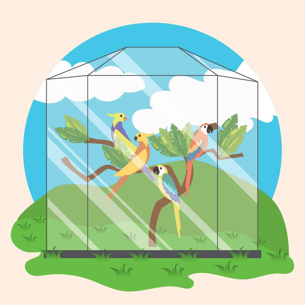 Cute parrot birds on a tree within a glass cage Zoo Vector illustration