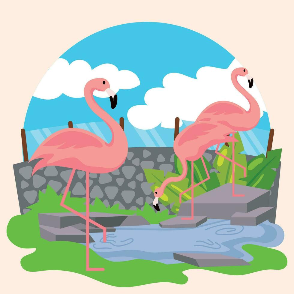 Group of cute flamingos on an open zoo Vector illustration