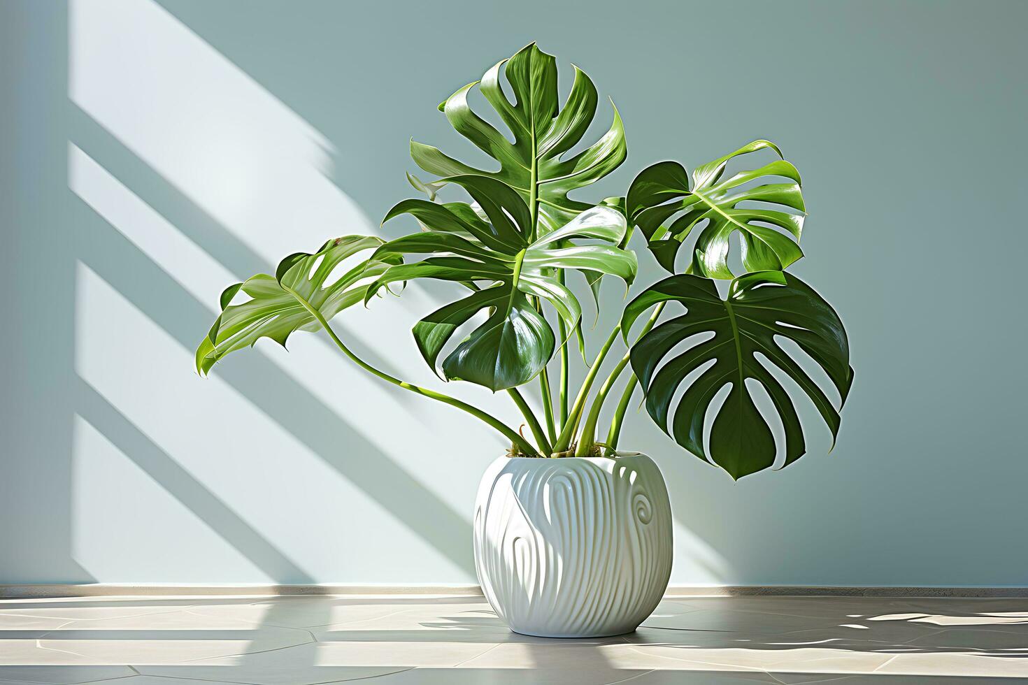 Close Up of a Monstera in a White Room AI Generated photo