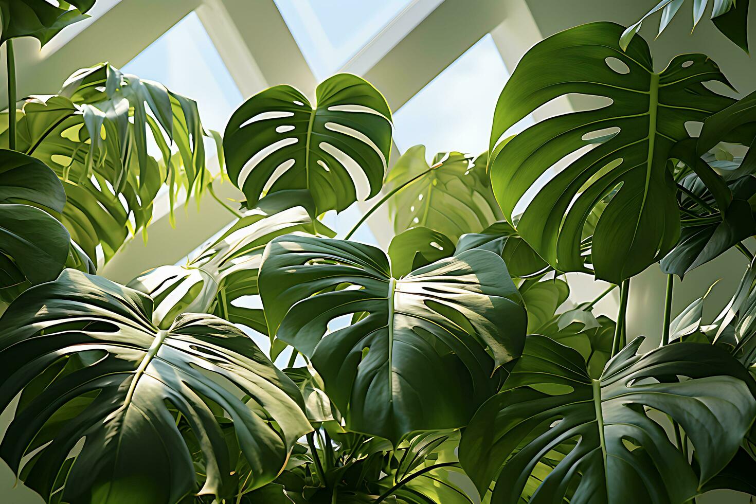 Close Up of a Monstera in a White Room AI Generated photo