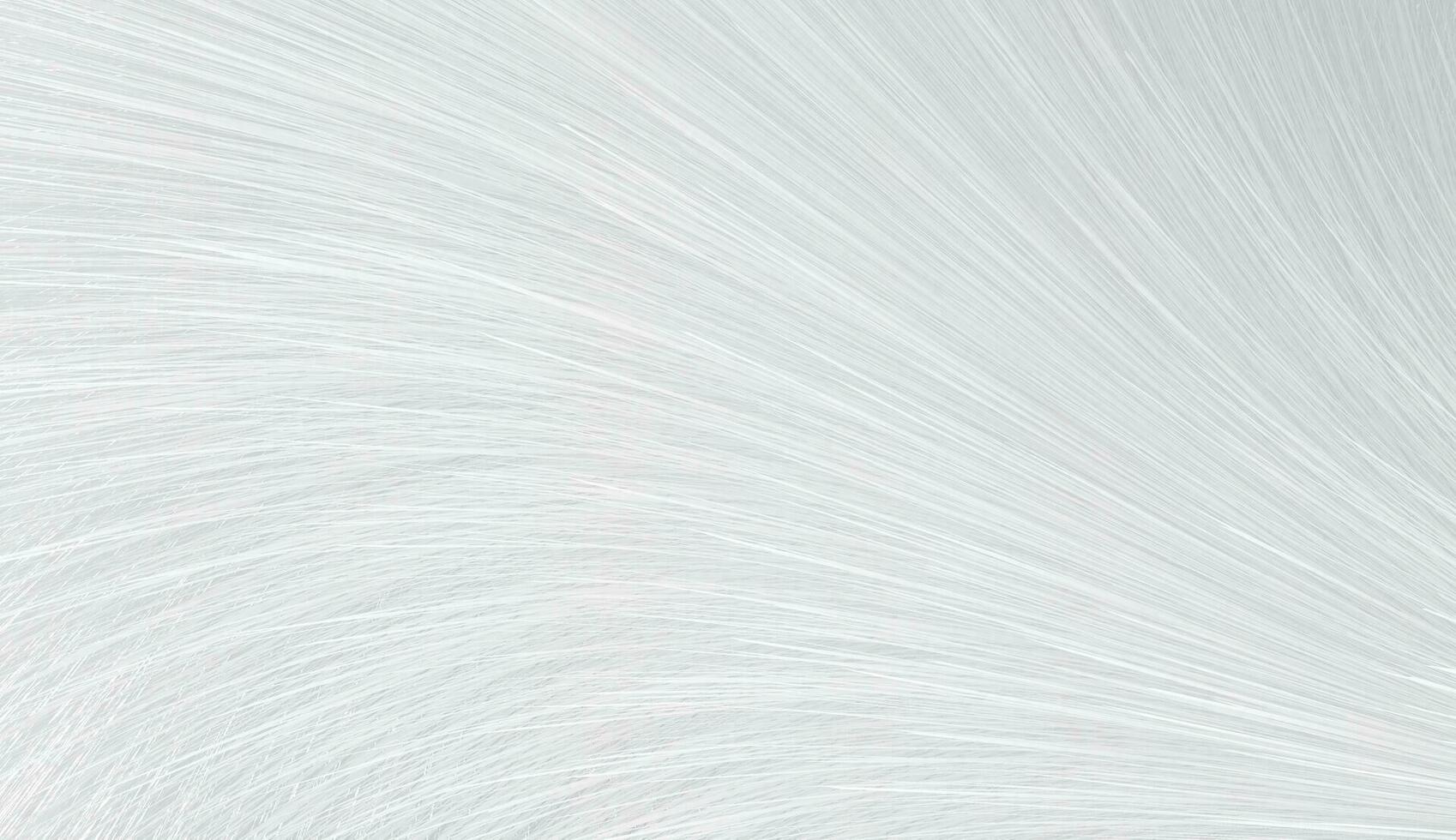 White Abstract Background Vector Illustration.