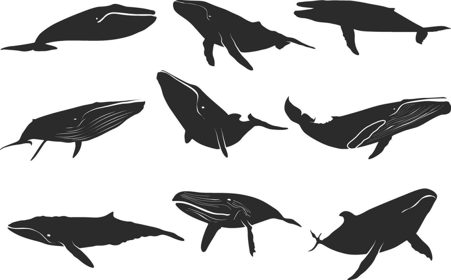 Blue whale silhouette, Whale silhouette, Blue whale icon set, Whale clipart. vector