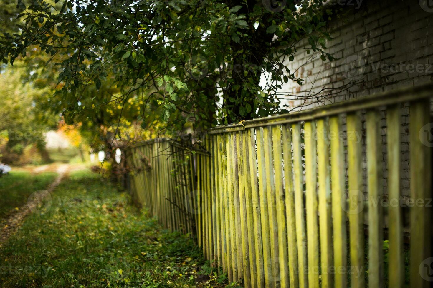 Old wooden green fence. Autumn road in the village. photo