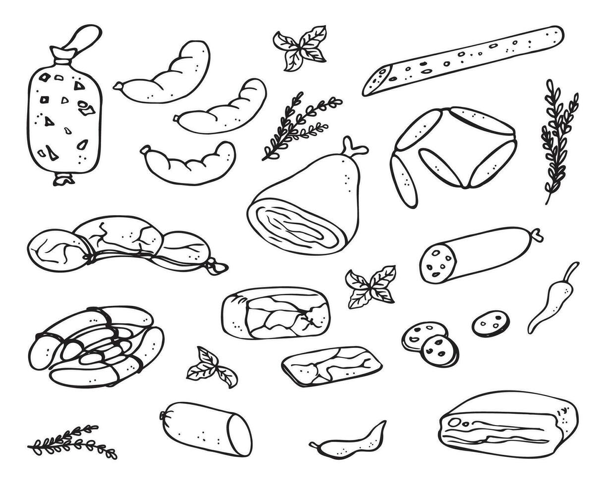 Different kind Sausages hand drawn vector illustration. Smoked meat products isolated background. Freehand drawn bacon, sausages,  pastrami, salami. Tasty meal, delicious snacks, butchery products