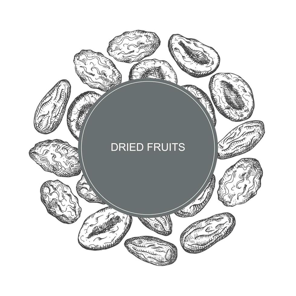 Dried fruits card hand drawn vector illustration. Frame background with Prunes, dried apricots, dry fruits, dates for packaging, textile, print, template, label.Design for text, decorative ornament