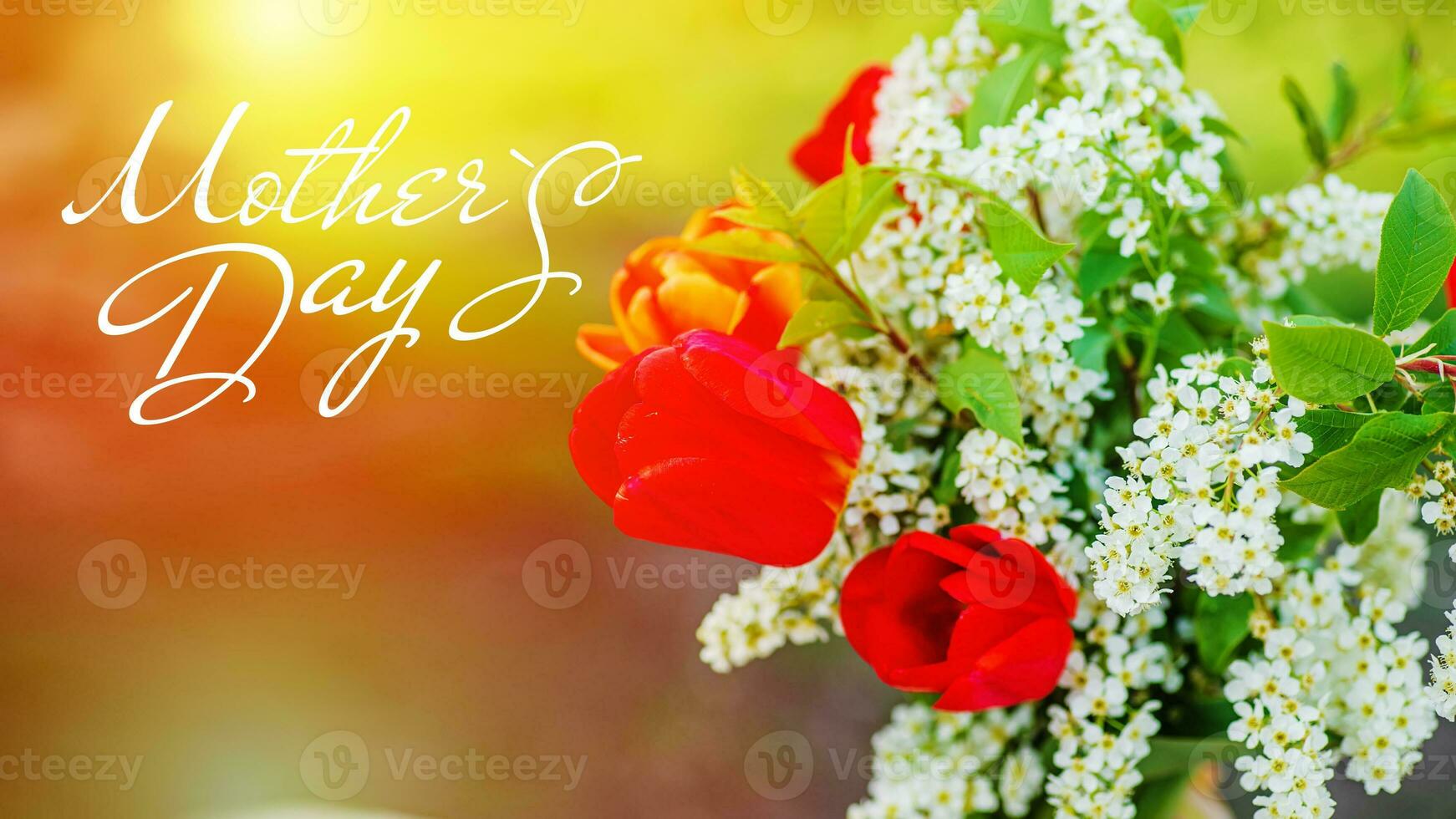 Text Mother Day Still life of bird cherry and tulips. bouquet flowers on background of green grass. Background for greeting card with beginning of spring, photo