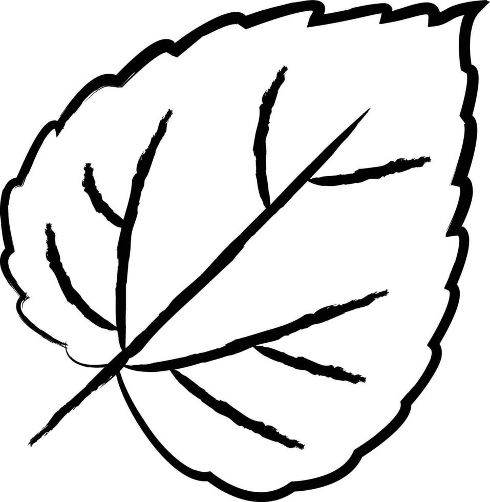 Mulberry Leaf hand drawn vector illustration