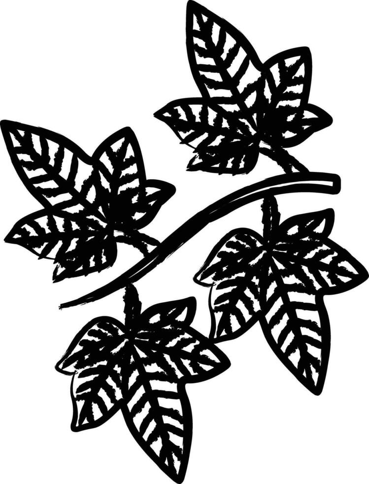 Leaf hand drawn vector illustration