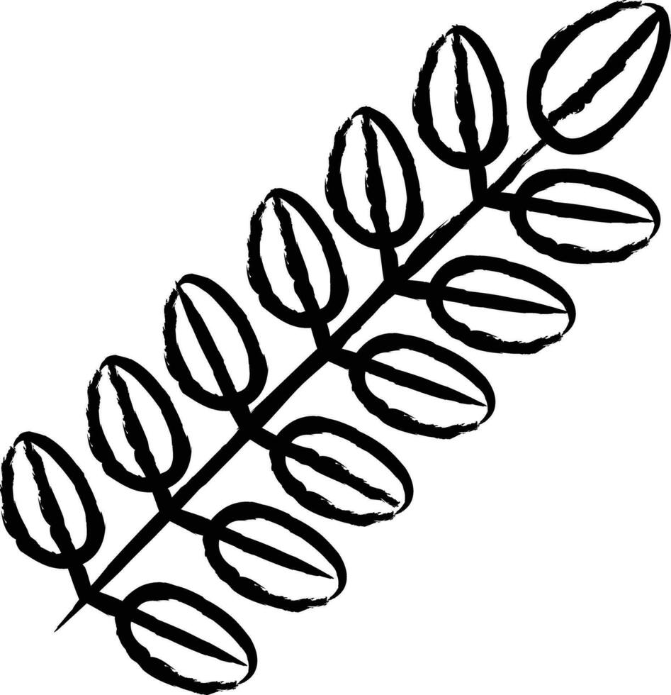 Black Locust  Leaf hand drawn vector illustration