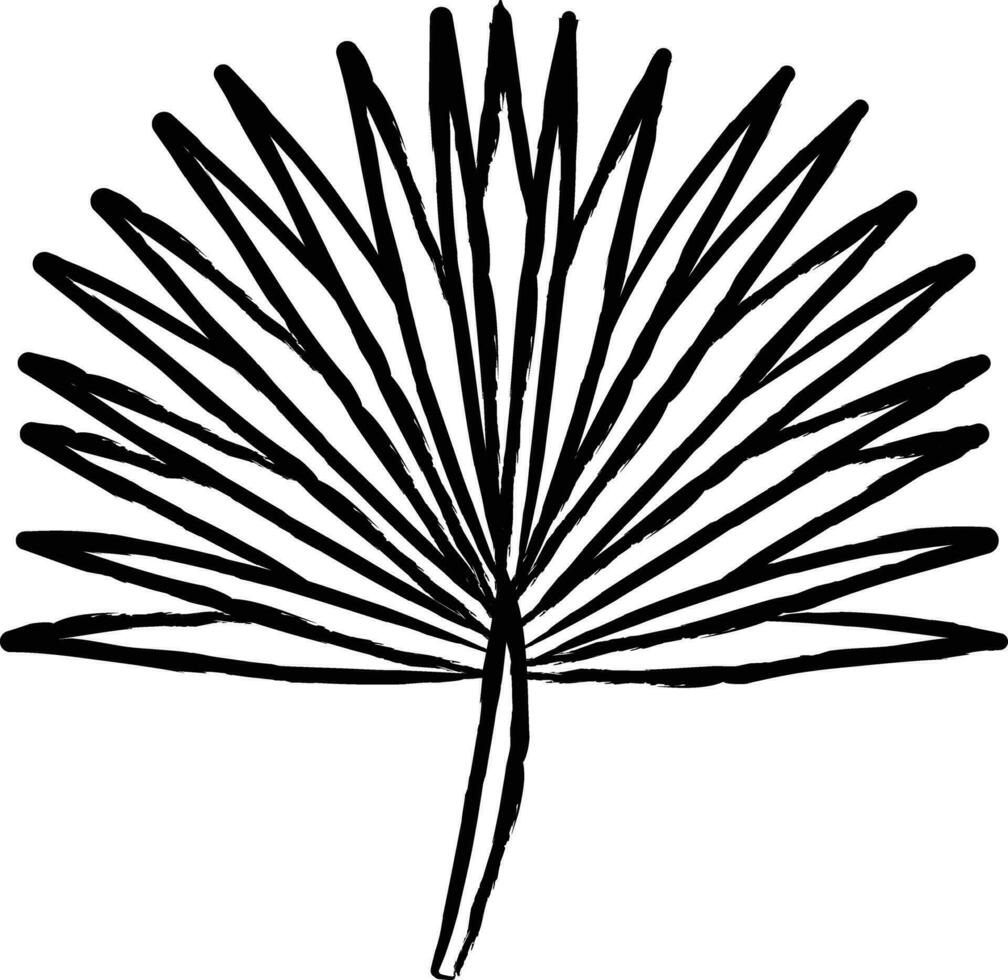 Leaf hand drawn vector illustration