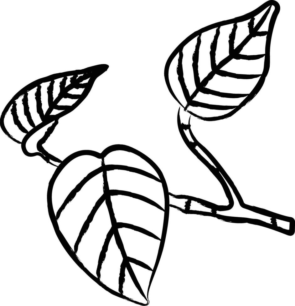 Pothos Leaf hand drawn vector illustration