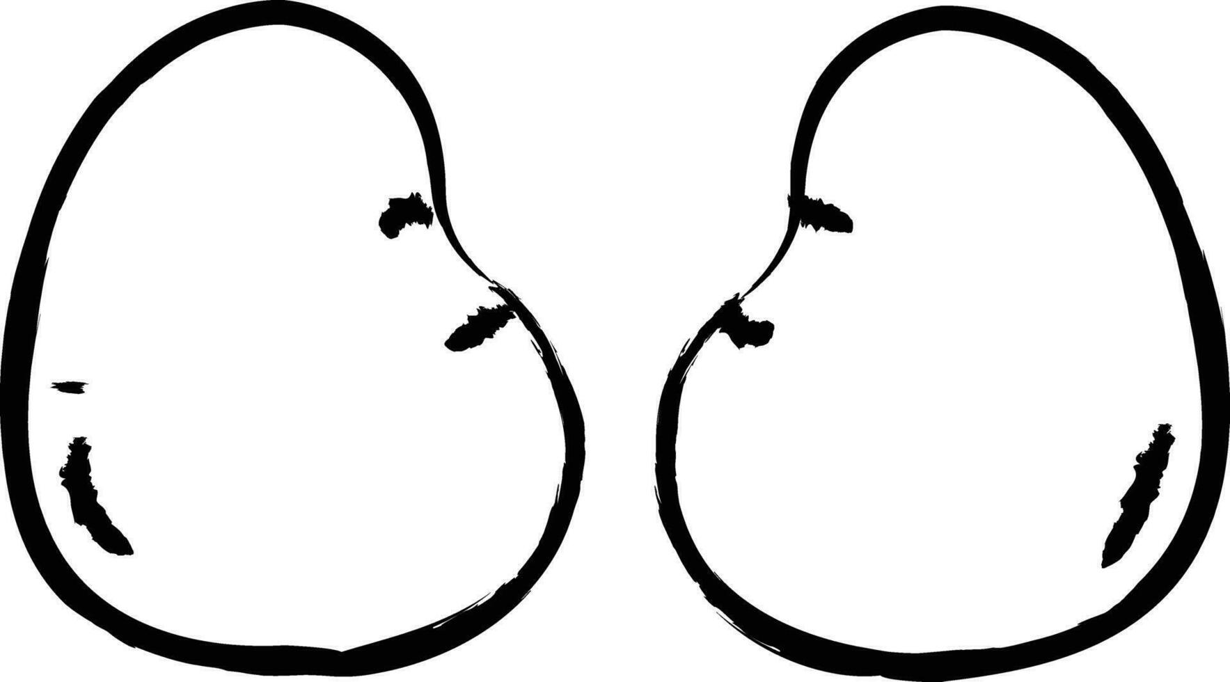 Chicken kidney hand drawn vector illustrations