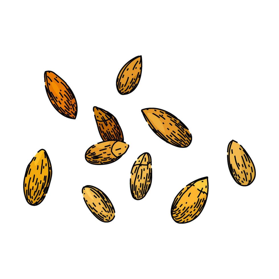 bread rye sketch hand drawn vector