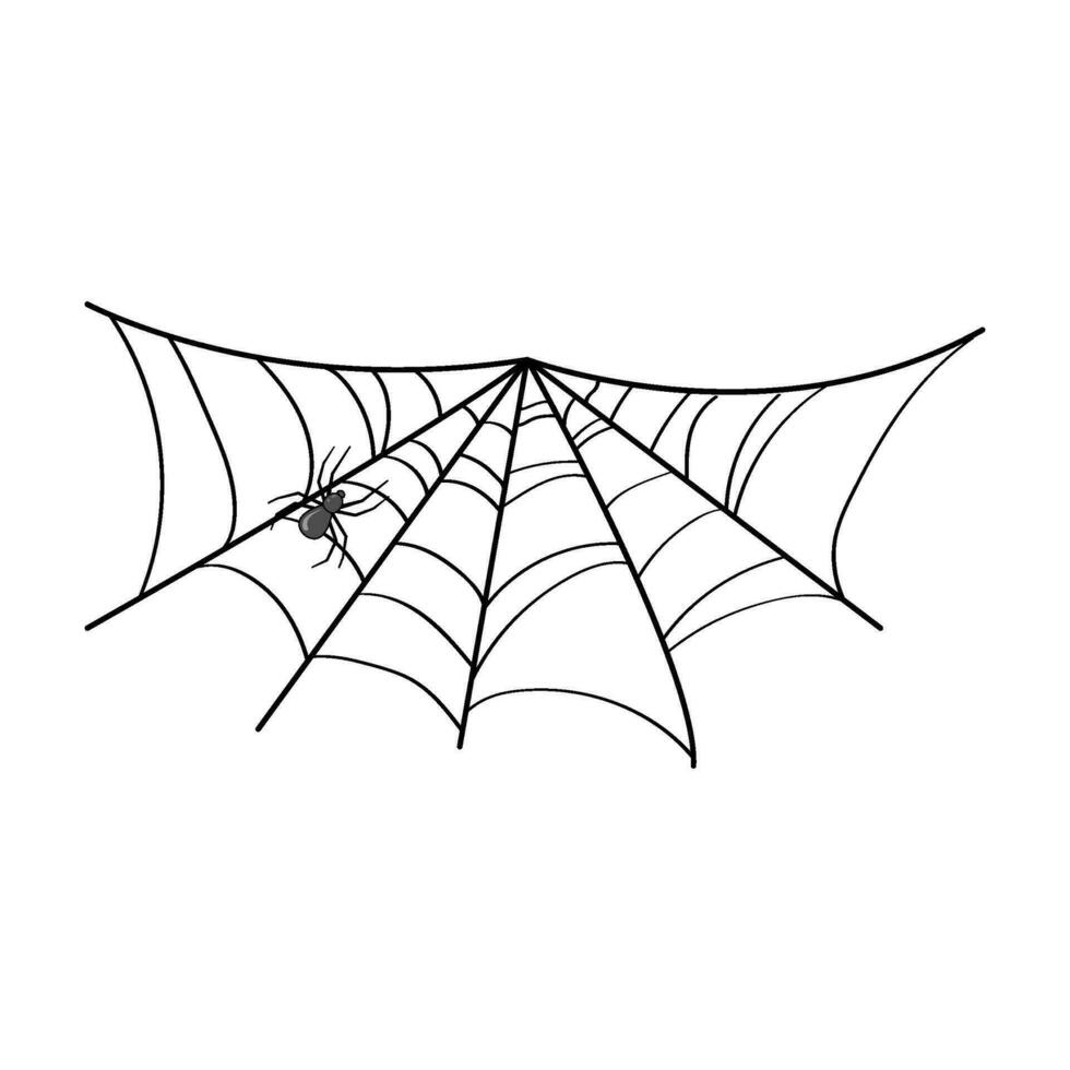 web cobweb cartoon vector illustration