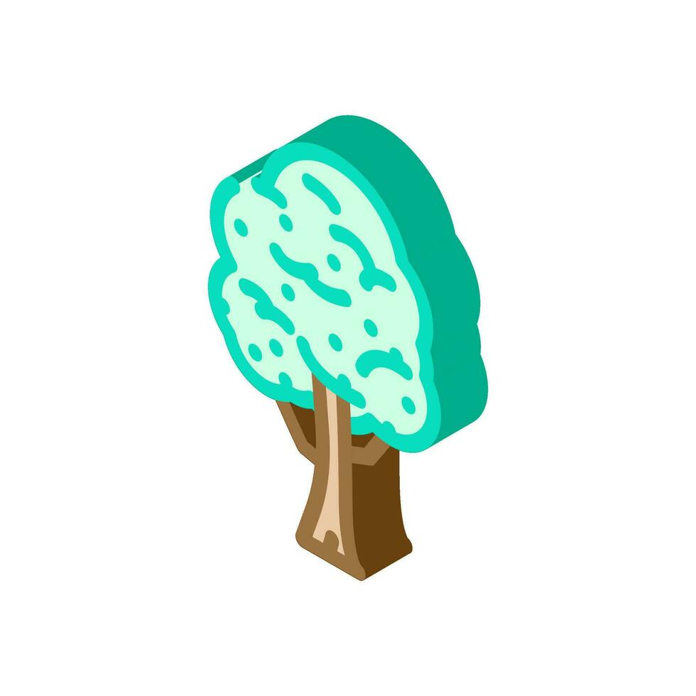 padauk tree jungle amazon isometric icon vector illustration