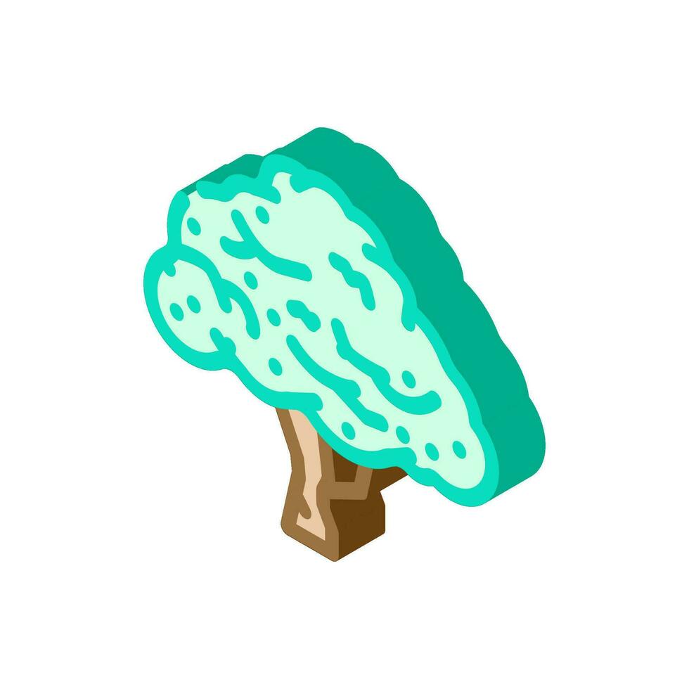 macadamia tree jungle amazon isometric icon vector illustration