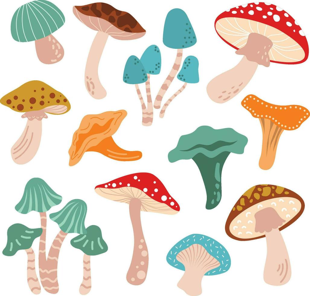 Mushrooms vector illustration set
