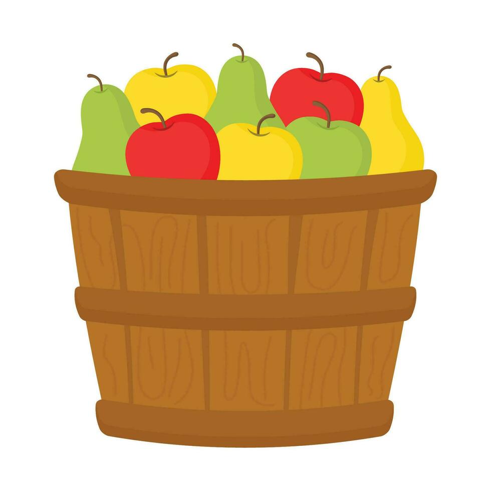 Apples in a basket, a wooden box with apples and pears. Fruit and vegetable harvest. Vector illustration.