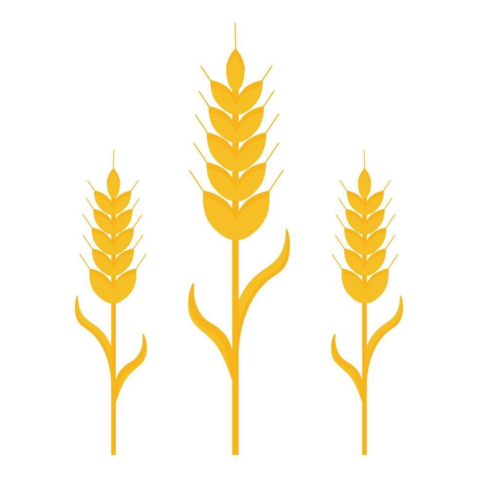 Ear of wheat icon. Cereals, barley, grain. Vector illustration.