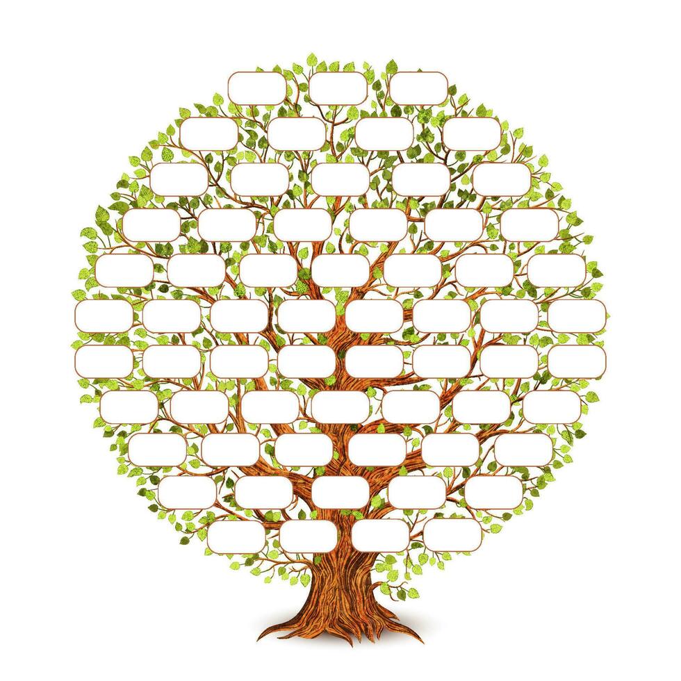 Clásico estilo familia árbol modelo para retro diseño. genealogía y genealogía. vector ilustración.