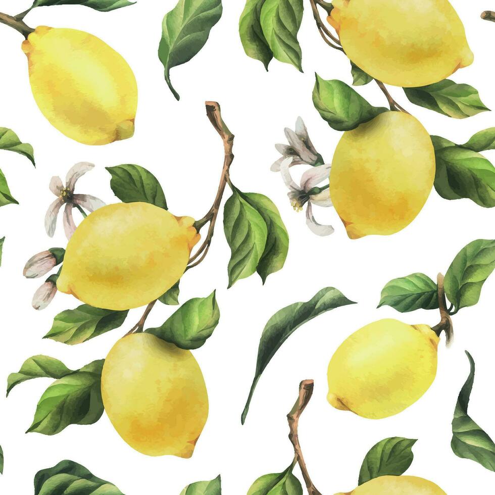 limones son amarillo, jugoso, maduro con verde hojas, flor brotes en el sucursales, todo y rebanadas acuarela, mano dibujado botánico ilustración. sin costura modelo en un blanco antecedentes vector