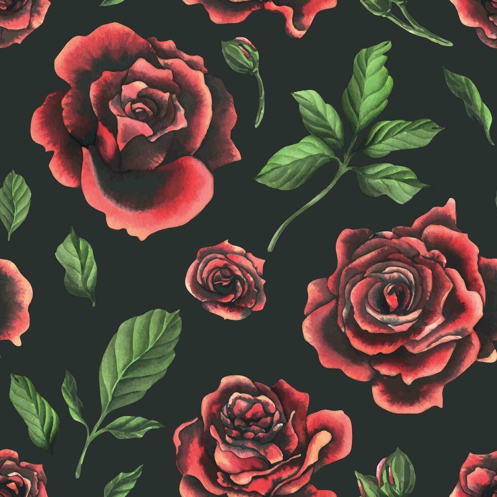 Redblack rose flowers with green leaves and buds, chic, bright, beautiful. Hand drawn watercolor illustration. Seamless pattern on a dark background, for decoration and design vector