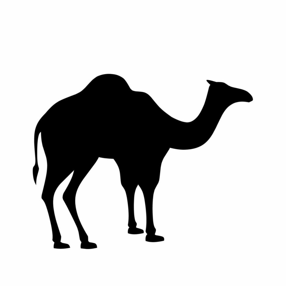 camello silueta vector. dromedario silueta lata ser usado como icono, símbolo o signo. camello icono vector para diseño de desierto, Sáhara, África o viaje