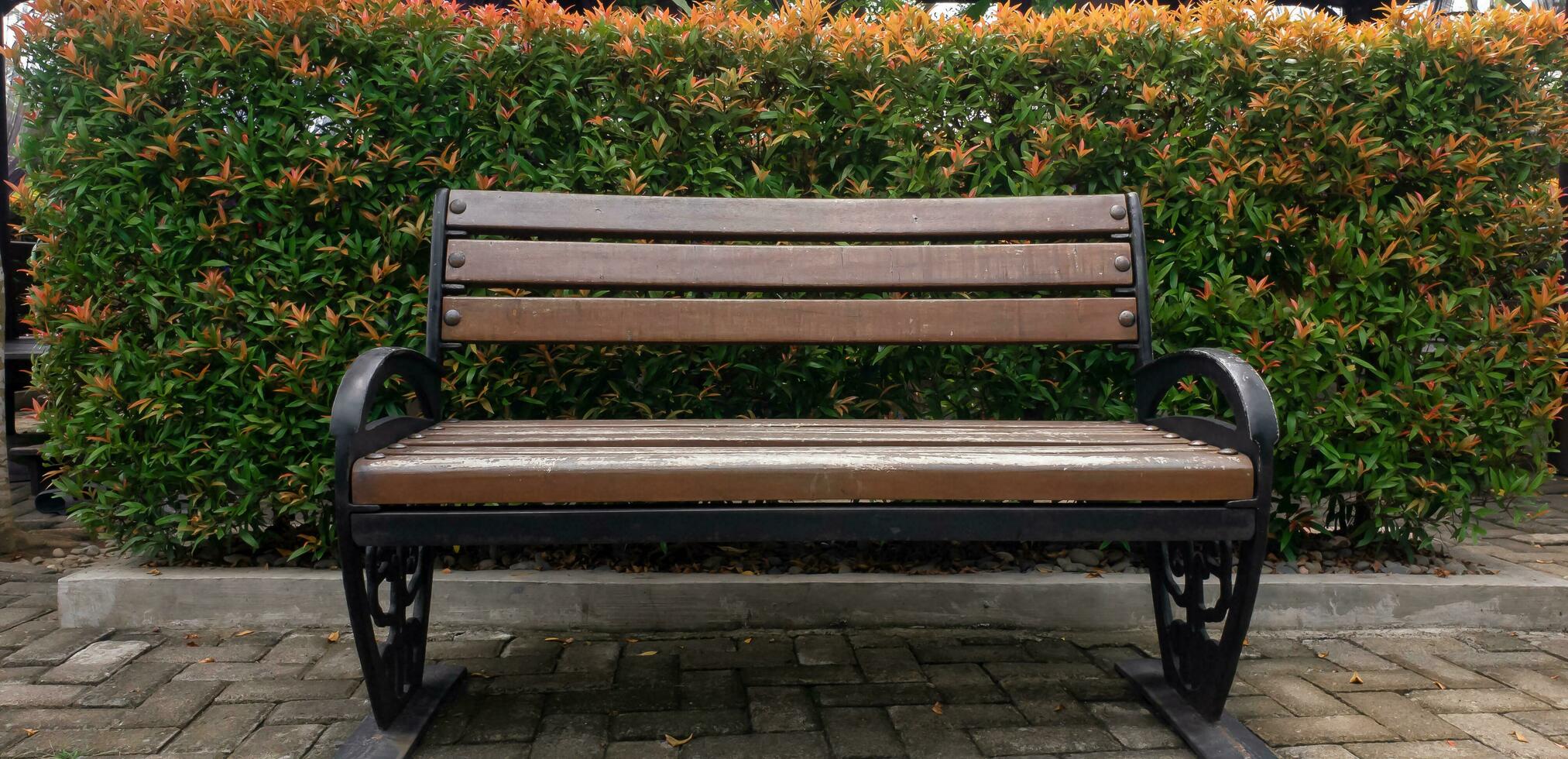 Front of the brown wooden chair, located near the leaf arrangement photo