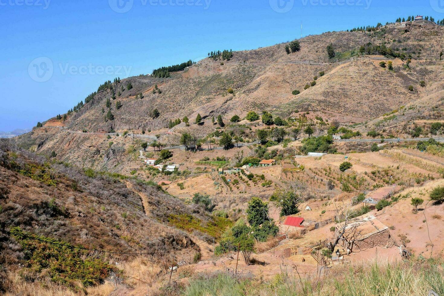 the mountains are covered in dry grass and trees photo