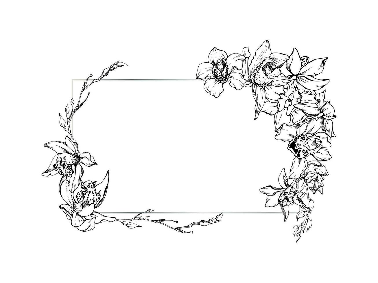 Hand drawn vector ink orchid flowers and branches, monochrome, detailed outline. Horizontal frame composition. Isolated on white background. Design for wall art, wedding, print, tattoo, cover, card.