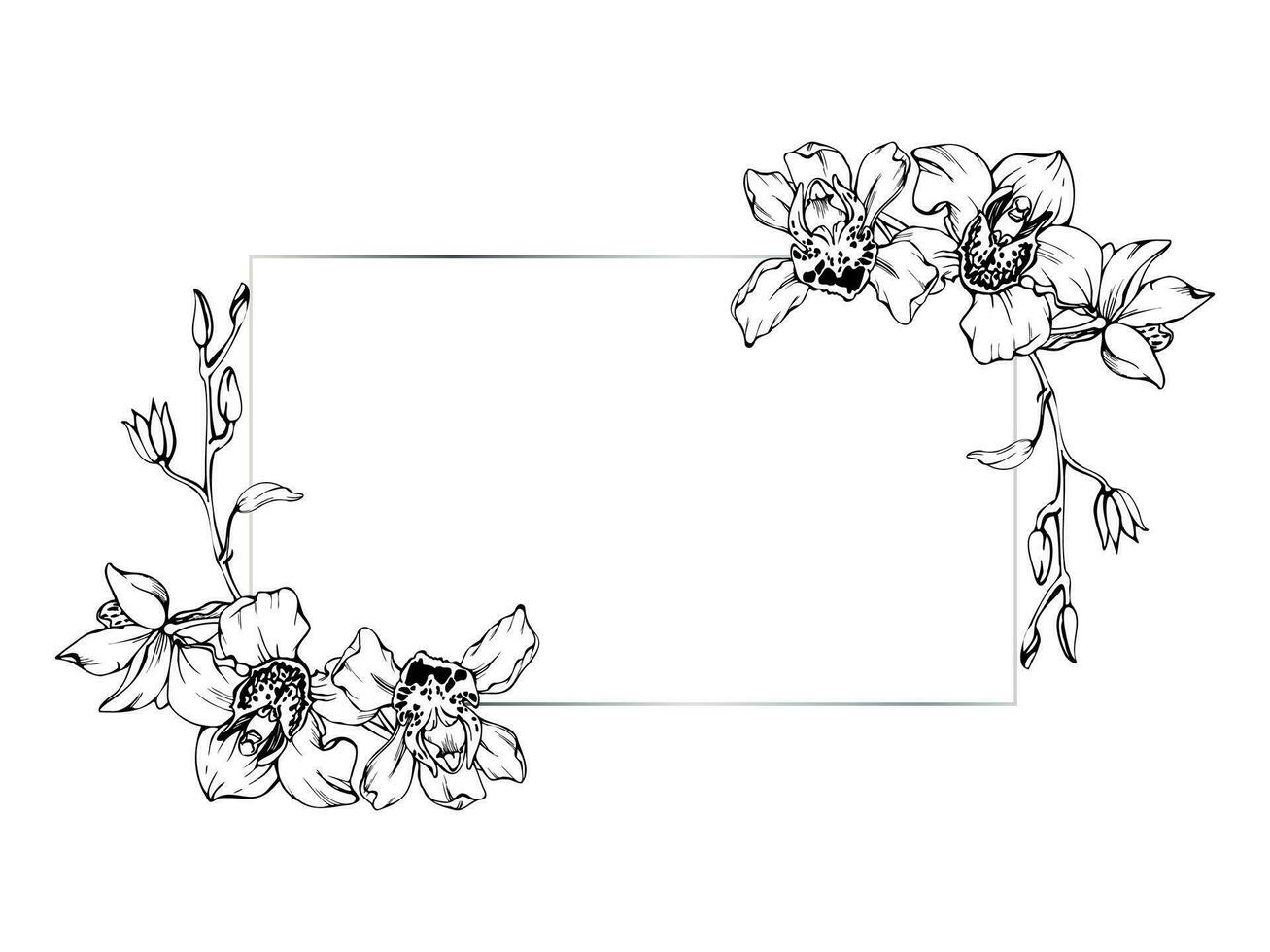 mano dibujado vector tinta orquídea flores y sucursales, monocromo, detallado describir. horizontal marco composición. aislado en blanco antecedentes. diseño para pared arte, boda, imprimir, tatuaje, cubrir, tarjeta.