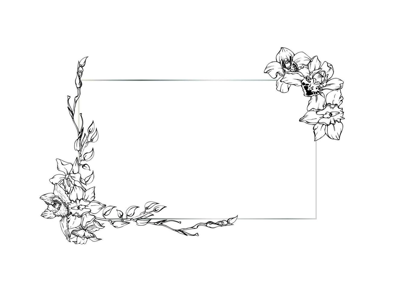 mano dibujado vector tinta orquídea flores y sucursales, monocromo, detallado describir. horizontal marco composición. aislado en blanco antecedentes. diseño para pared arte, boda, imprimir, tatuaje, cubrir, tarjeta.