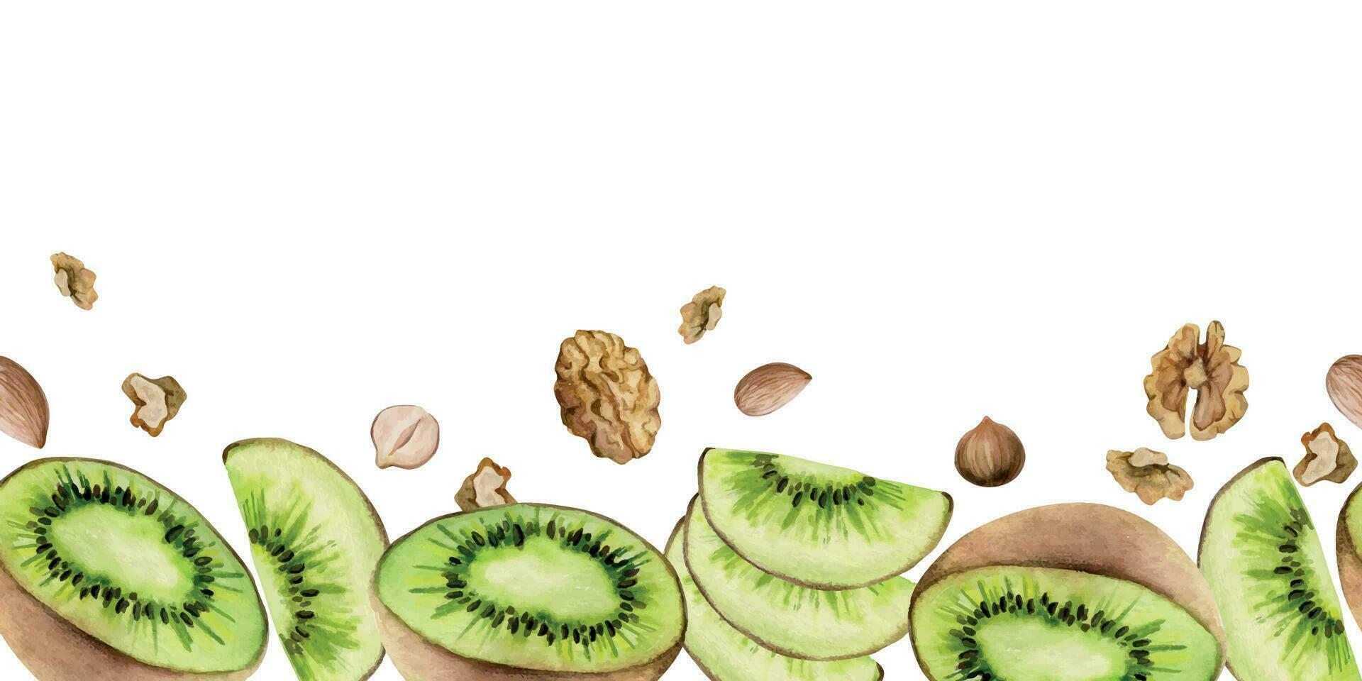 Hand drawn watercolor sliced kiwi fruit and nuts mix for diet, healthy lifestyle, vegan cooking. Illustration seamless border isolated on white background. Design poster, print, website, card, menu vector