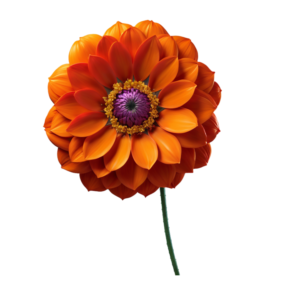 AI generated orange flower isolated on white on transparent background PNG image