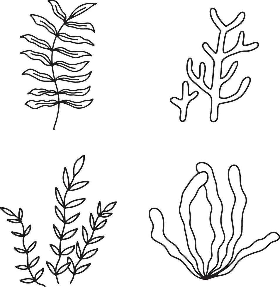 Hand Drawn Seaweed With Flat Design. Abstract Decoration. Isolated Vector. vector