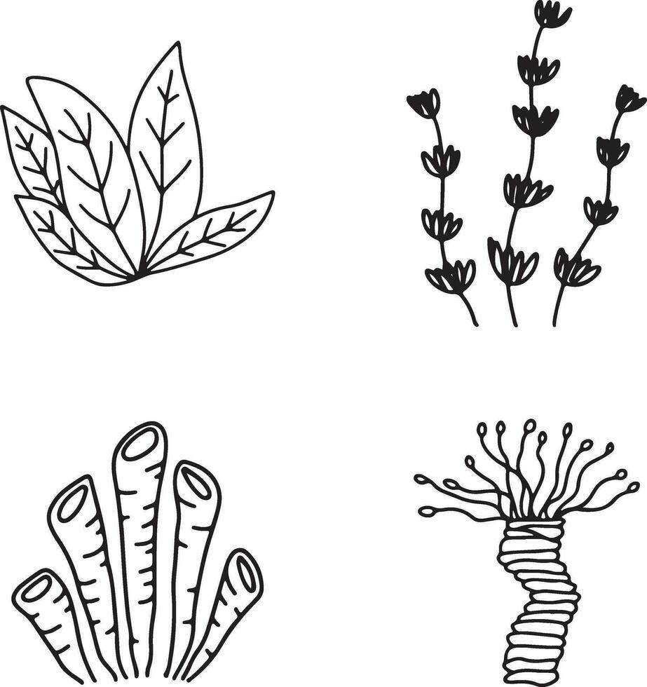 Hand Drawn Seaweed With Flat Design. Abstract Decoration. Isolated Vector. vector